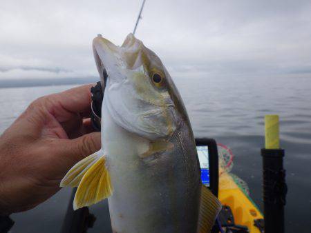 カヤックジギング